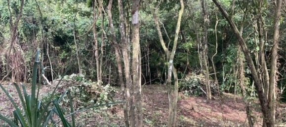 Земельный участок в Санта-Крус, Коста-Рика № 1397 6