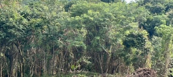 Земельный участок в Санта-Крус, Коста-Рика № 1397 2