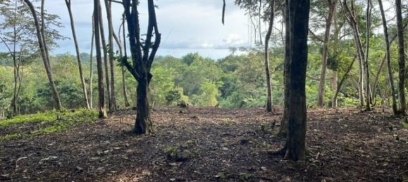 Земельный участок в Санта-Крус, Коста-Рика № 1397 3