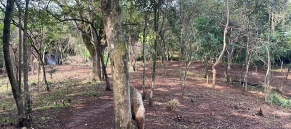 Земельный участок в Санта-Крус, Коста-Рика № 1397 4