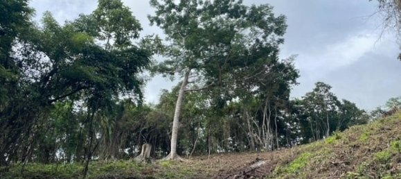 Земельный участок в Санта-Крус, Коста-Рика № 1397 5