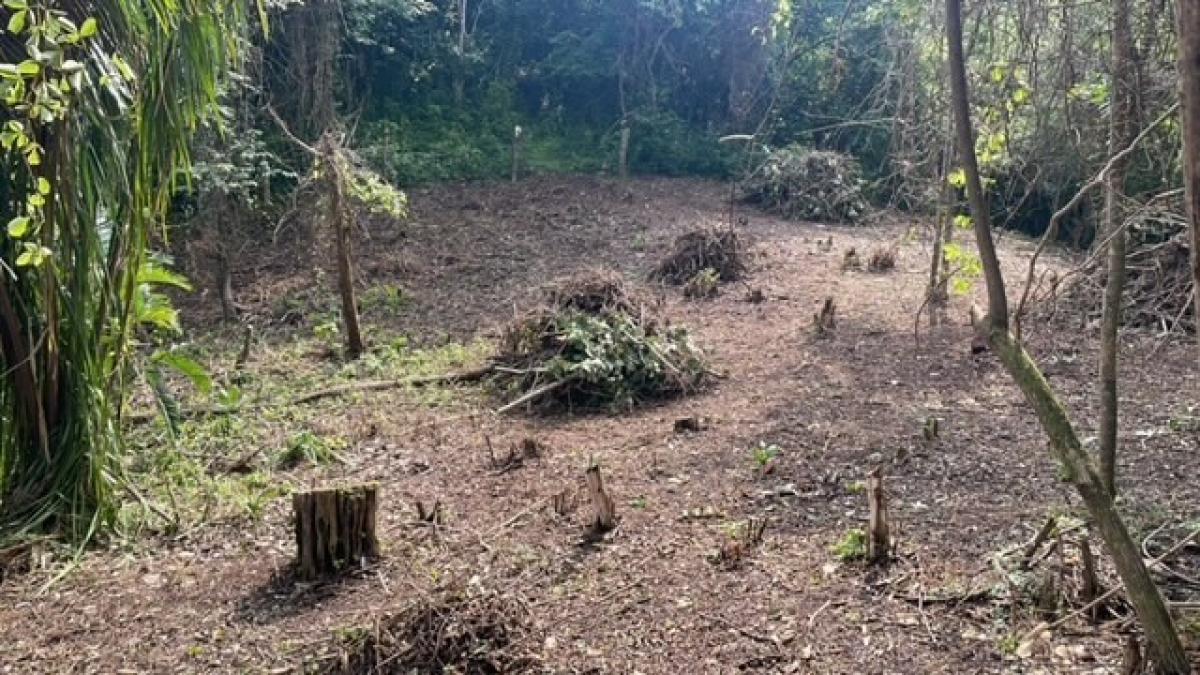 Земельный участок в Санта-Крус, Коста-Рика № 1397