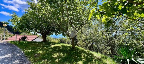 5 bedrooms Villa in Magliolo, Italy No. 349344 34