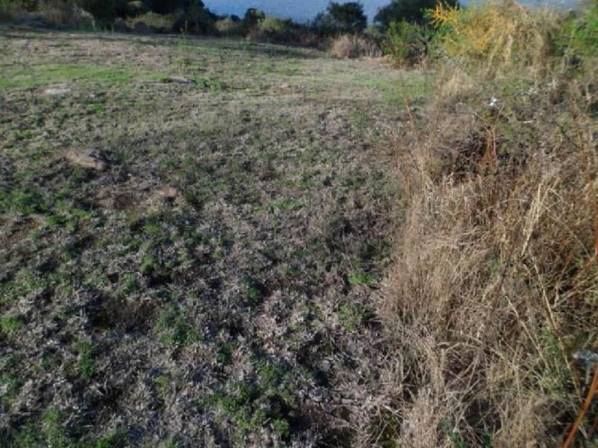 Terrain à Cordoba, Argentina No. 50362