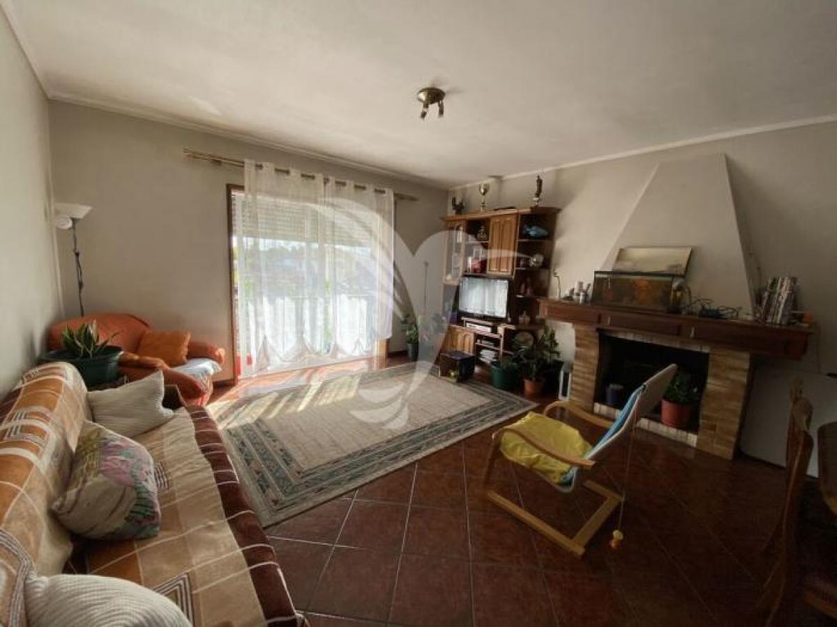 2 Schlafzimmer Wohnung in Aveiro, Portugal, Nr. 689