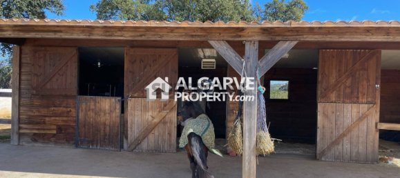 4 غرف نوم منزل في Quelfes, Portugal رقم 169101 33