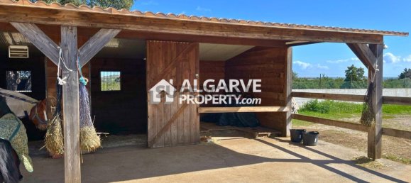 4 غرف نوم منزل في Quelfes, Portugal رقم 169101 31