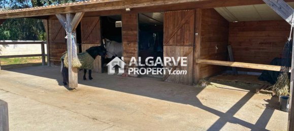 4 غرف نوم منزل في Quelfes, Portugal رقم 169101 32