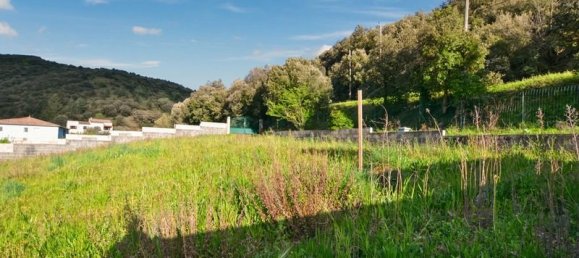 Terrain à Saint-Nazaire-de-Ladarez, France 2011m² No. 335997 3