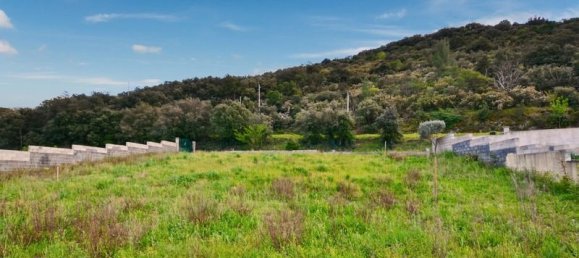 Terrain à Saint-Nazaire-de-Ladarez, France 2011m² No. 335997 2