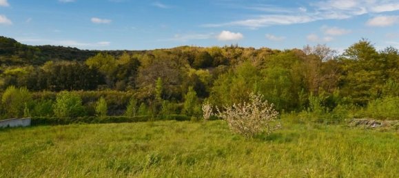 Terrain à Saint-Nazaire-de-Ladarez, France 2011m² No. 335997 7