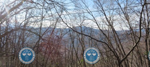 Villa de 5 habitaciónes en Arsoli, Italy No. 310185 3