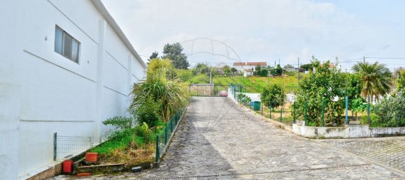 5 غرف نوم منزل في Bombarral, Portugal رقم 24348 29