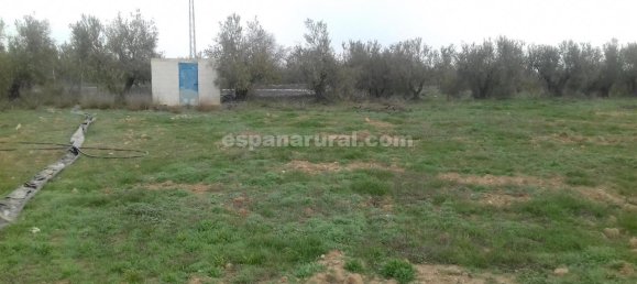 5 bedrooms House in Baza, Spain No. 7344 11