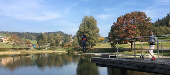 Квартира с 4 комнатами в Оберёстеррайх, Австрия № 223393 9