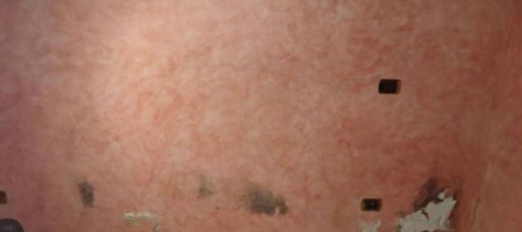 4-Zimmer Haus in Lariano, Italy, Nr. 101463 6