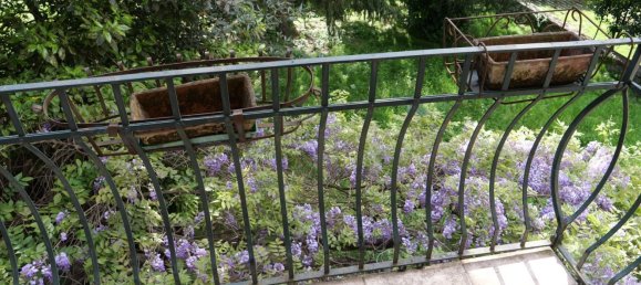 Дом с 15 комнатами в Таламона, Италия № 254840 4