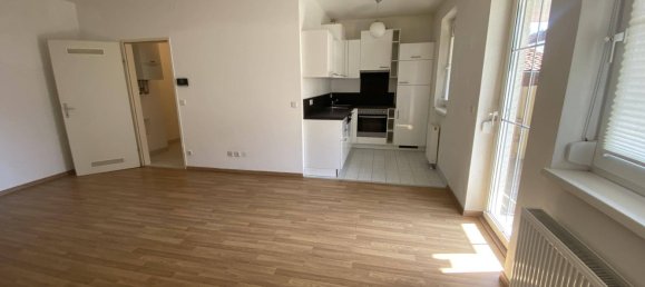 Studio in Modling, Austria No. 259166 2