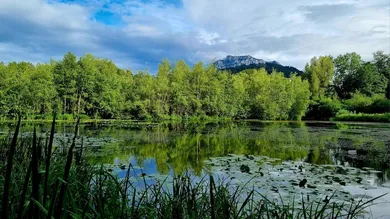 8 rooms House in Gmunden, Austria No. 11156