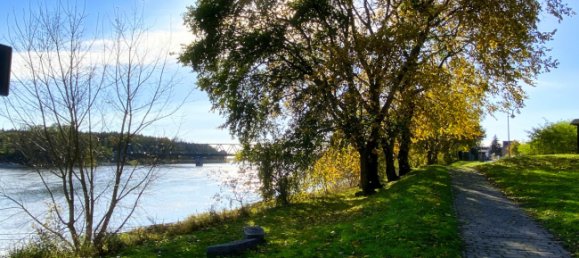 18غرفة فندق في Markisch-Oderland, Germany رقم 79725 30