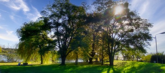 18غرفة فندق في Markisch-Oderland, Germany رقم 79725 29