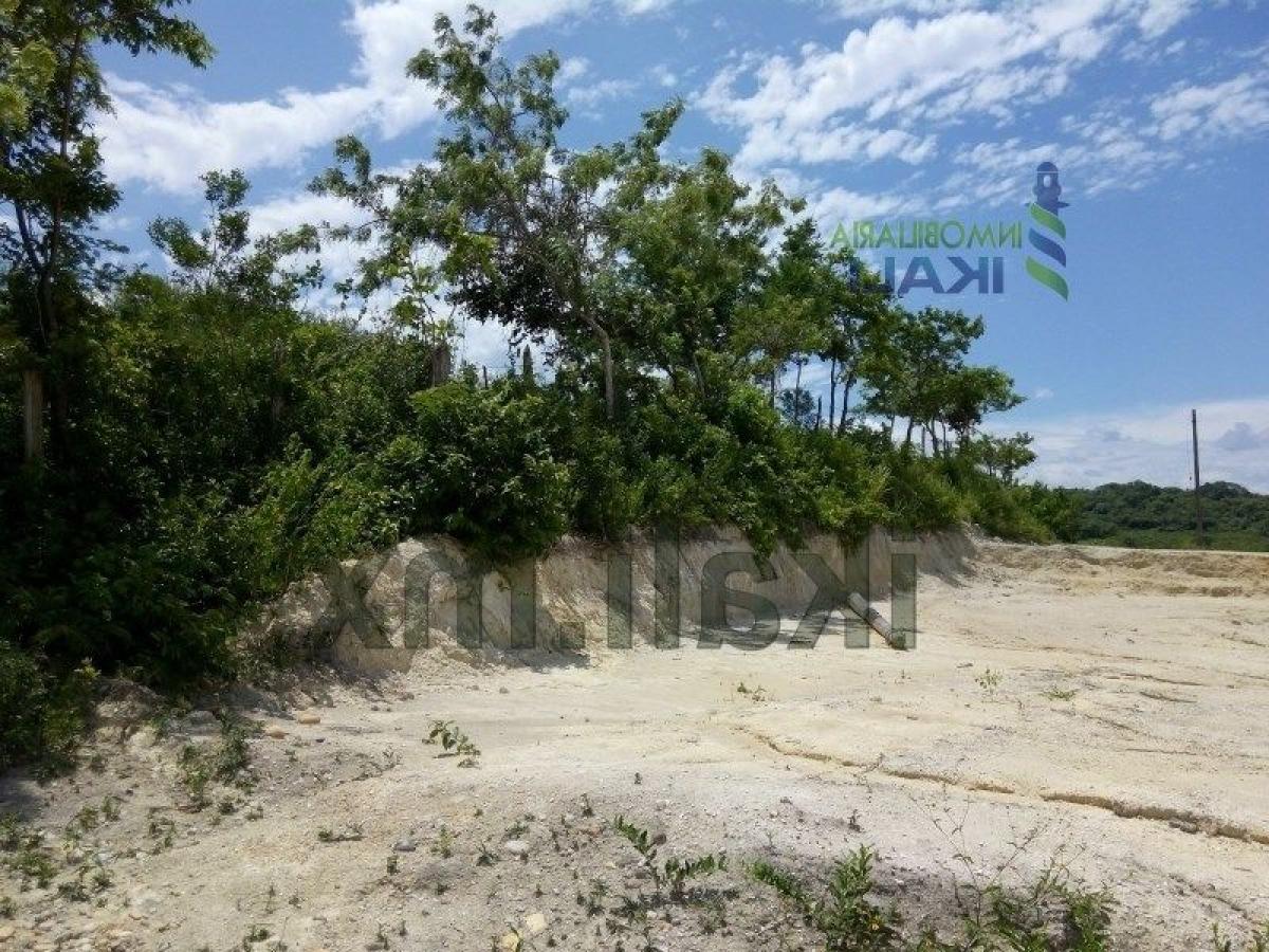  Land in Veracruz, Mexico No. 204341