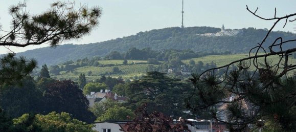 3 rooms Apartment in Dobling, Austria No. 145363 2