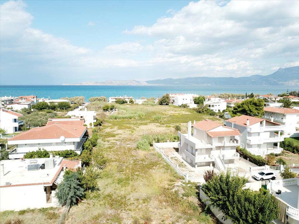 Отель, гостиница 18445м² в Коринф, Коринфия, Пелопоннес, Пелопоннес, Западная Греция и Ионические острова, Греция № 5786