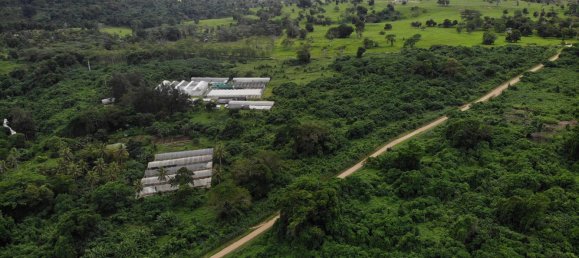 3 غرف نوم قطعة أرض في Port-Vila, Vanuatu رقم 102 4