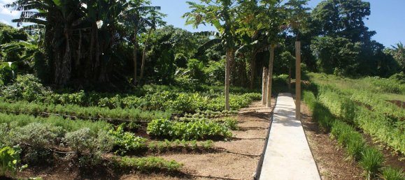 3 غرف نوم قطعة أرض في Port-Vila, Vanuatu رقم 102 9