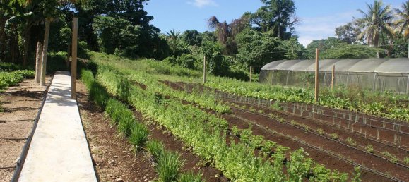 3 غرف نوم قطعة أرض في Port-Vila, Vanuatu رقم 102 6