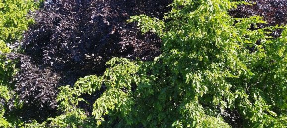 4غرفة شقة في Bremen, Germany رقم 60721 22