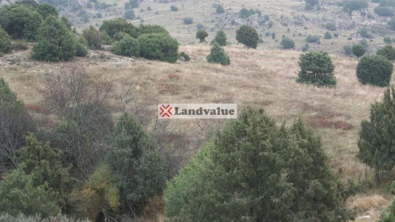 Grundstück in Colmenar Viejo, Spain, Nr. 216215