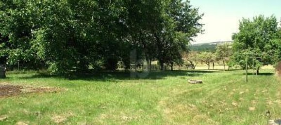 6 rooms House in Bernkastel-Wittlich, Germany No. 286232 5