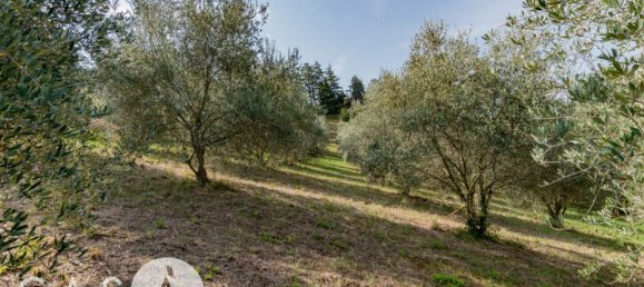 Terreno en Cesena, Italy 60000 m² No. 358377 11