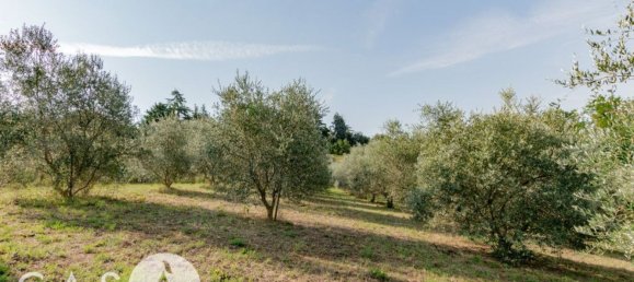 Terreno en Cesena, Italy 60000 m² No. 358377 17