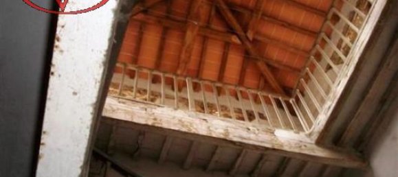 2غرفة شقة في Bucine, Italy رقم 226624 10