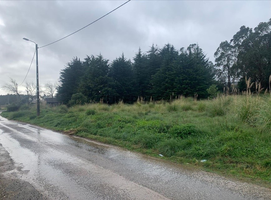  Land in Sintra, Portugal No. 254737