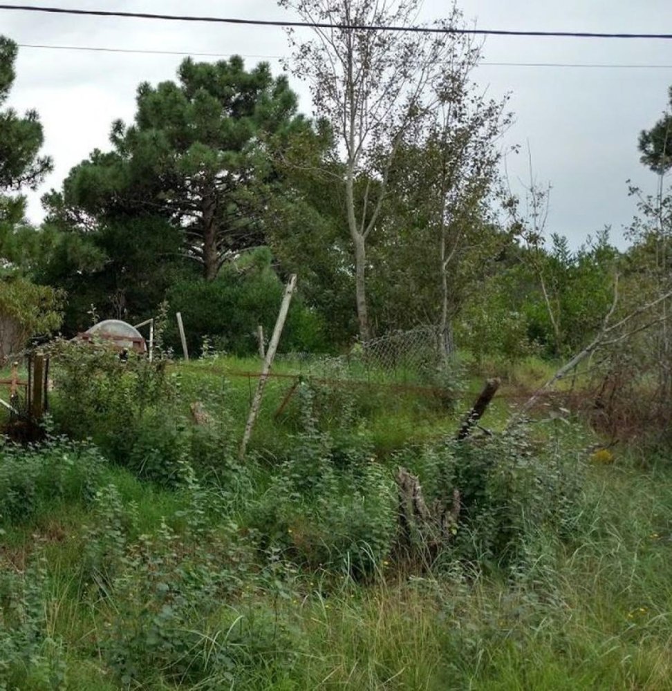 Terrain à Mar del Plata, Argentina No. 112725