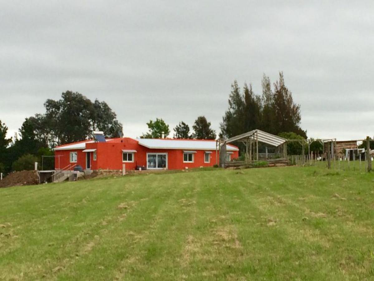  Farm in Maldonado, Uruguay No. 16149