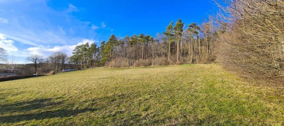 Land in Hinterbruhl, Austria No. 26704 4