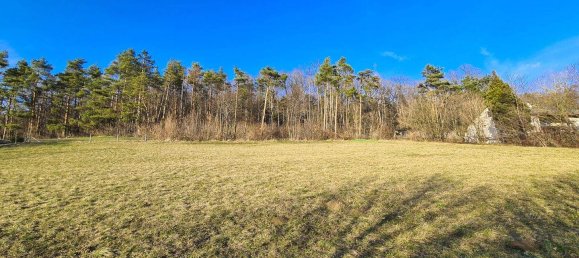 Land in Hinterbruhl, Austria No. 26704 5