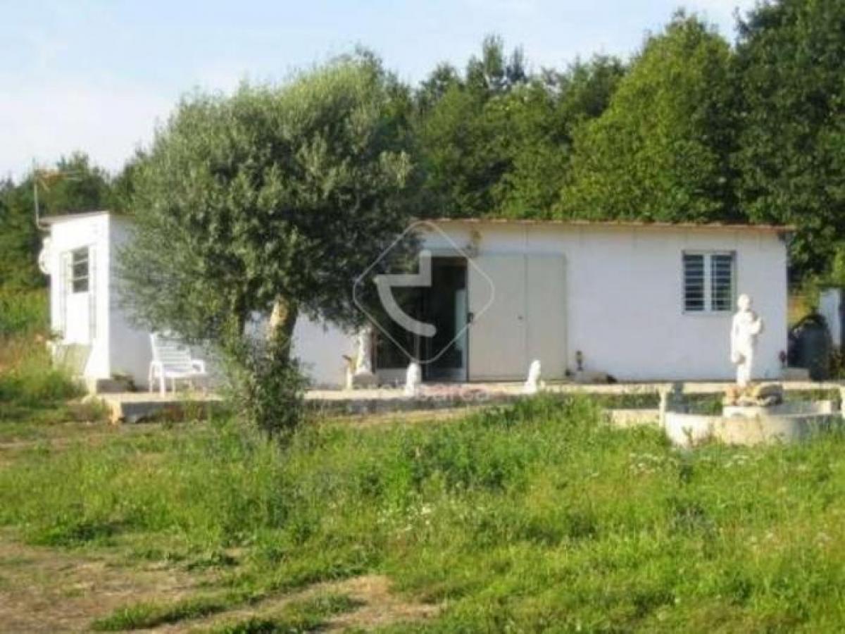  Land in Paredes de Coura, Portugal No. 8815