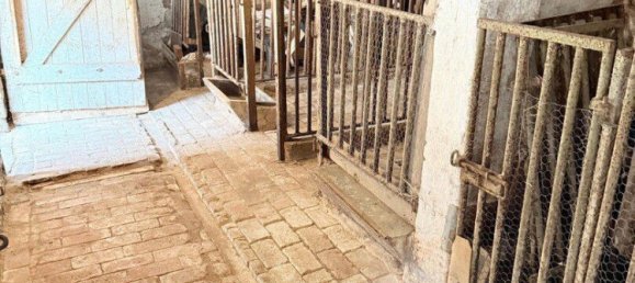 1 Schlafzimmer Bauernhof in Burgenlandkreis, Germany, Nr. 217781 35