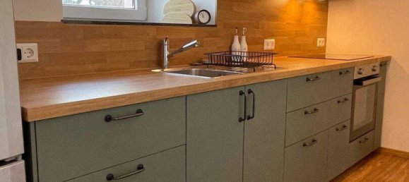 1 Schlafzimmer Bauernhof in Burgenlandkreis, Germany, Nr. 217781 15