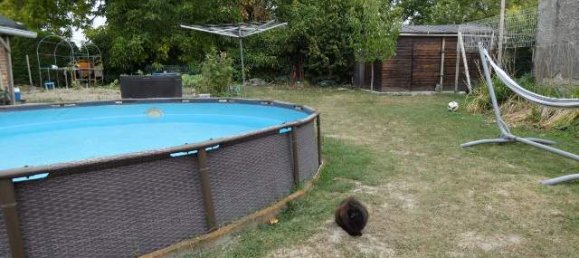 3 chambres Maison à Asfeld, France No. 335570 13