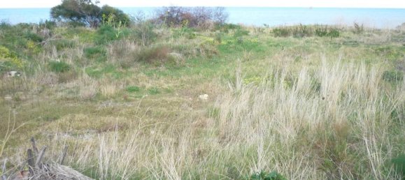 1200m² Land in Crotone, Italy No. 119723 3