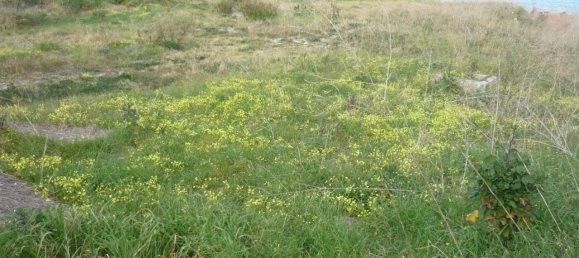 1200m² Land in Crotone, Italy No. 119723 2