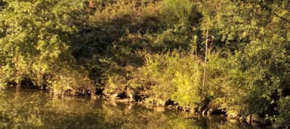 4 chambres Maison à Fontenoy-le-Château, France No. 215096 4