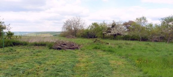 Дом с 3 спальнями в Серизье, Франция № 309869 2